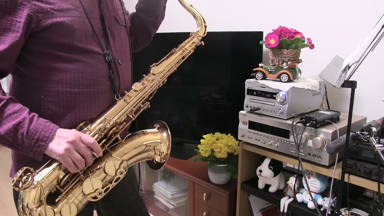 追悼曲　あきらめないで（秋庭豊とアローナイツ）リードボーカル木下あきらさんを偲んでテナーサックス演奏20260305