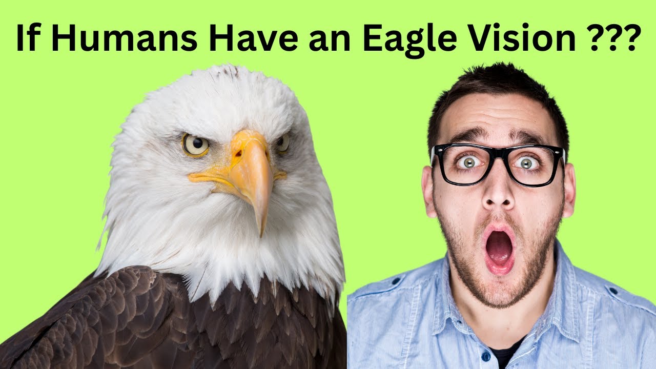 What If Humans Had Eagle Vision  #didyouknow #whatif #fypシ゚viral #viralvideo