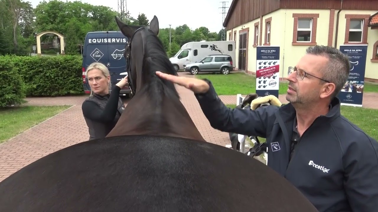Jak správně nasedlat koně a proč je to důležité