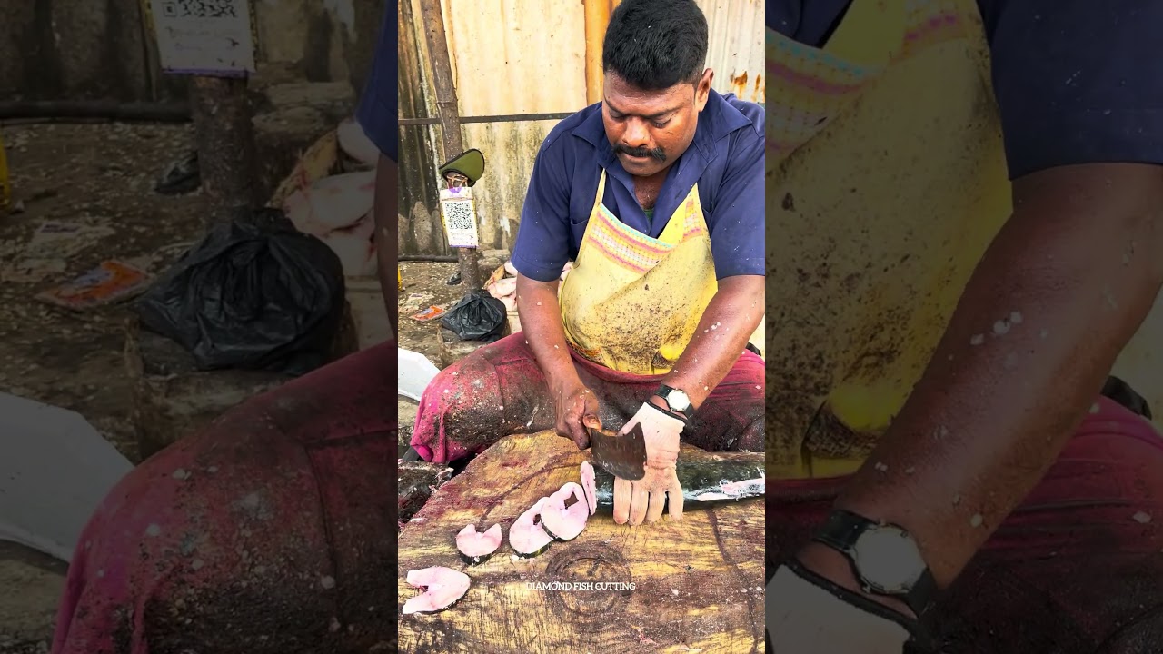 KASIMEDU SPEEDSELVAM BIG KING FISH CUTTING VIDEO 