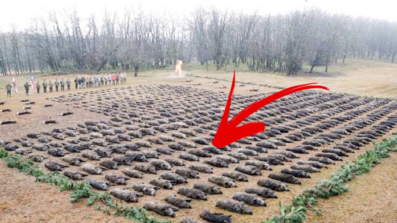 A drónkamera olyasmit rögzített, amire senki sem számított