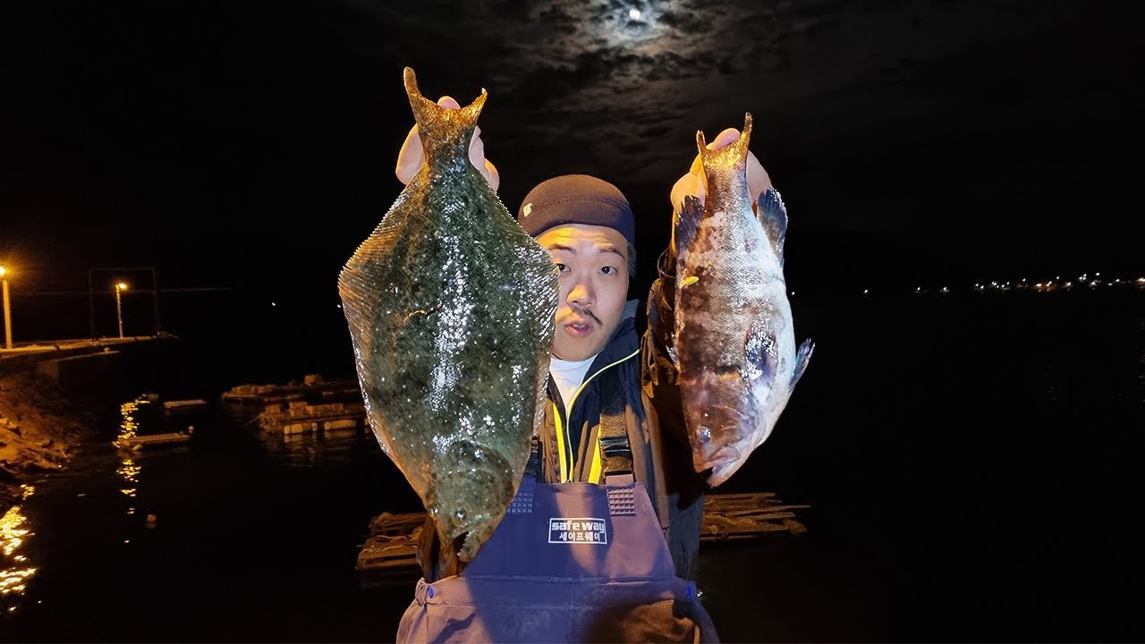 광어를 해루질로 잡아서 먹어보자!(ft.능성어)