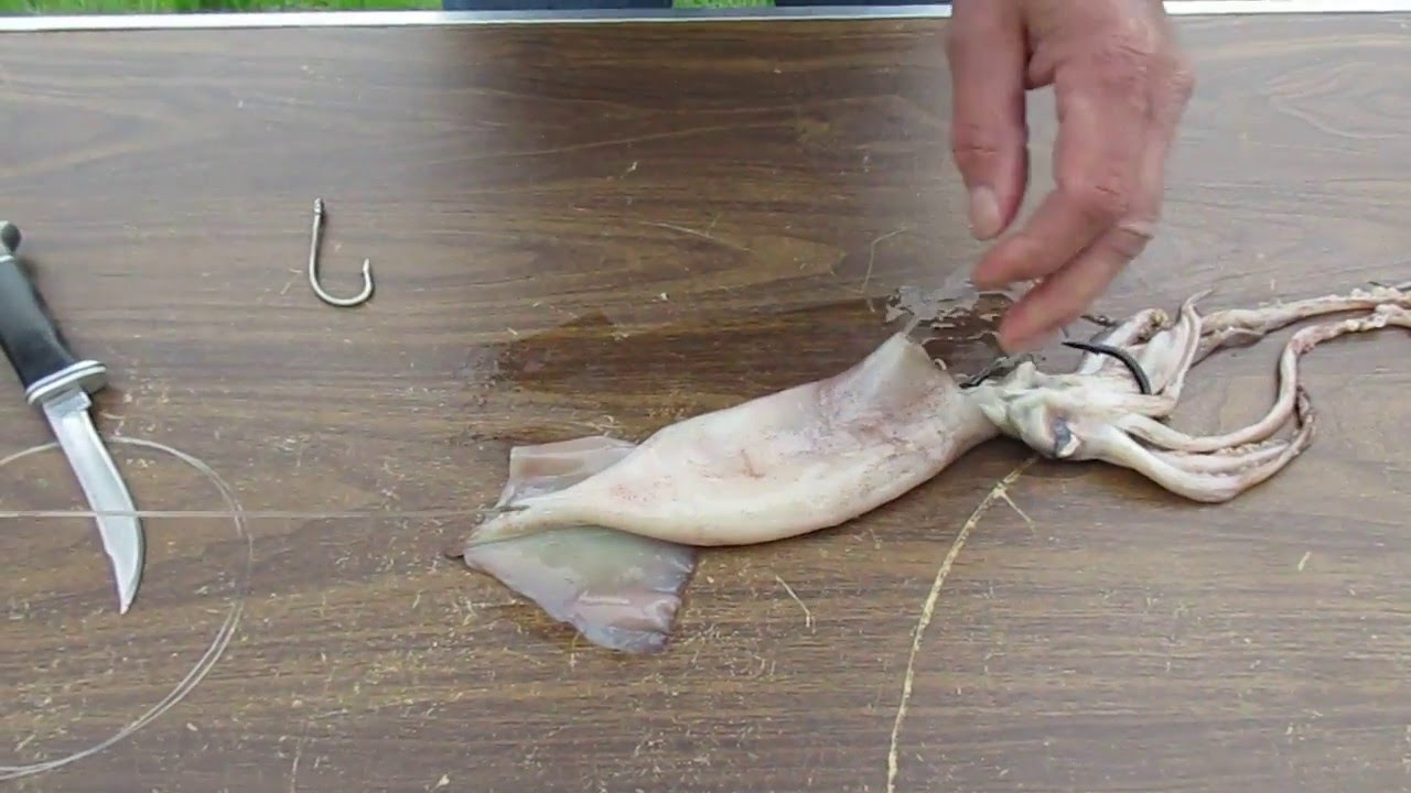 Squid Rigging fast and Easy no Sewing