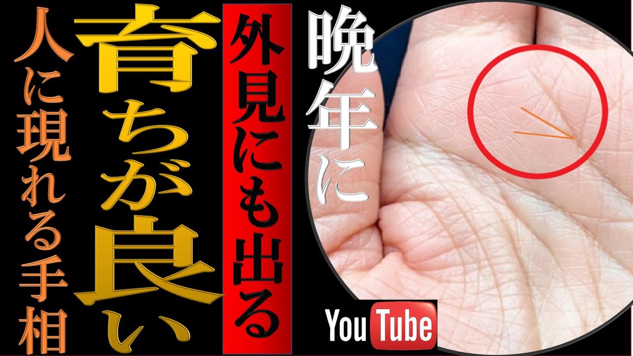 【手相】⚠️見た目にも現れる！育ちがいい人の晩年幸福手相トップ３