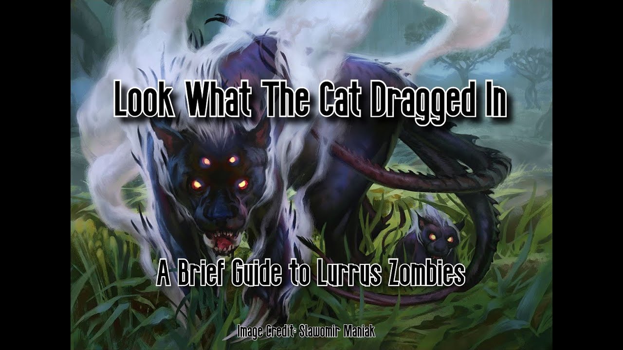 Look What the Cat Dragged in: A Brief Guide to Lurrus Zombies
