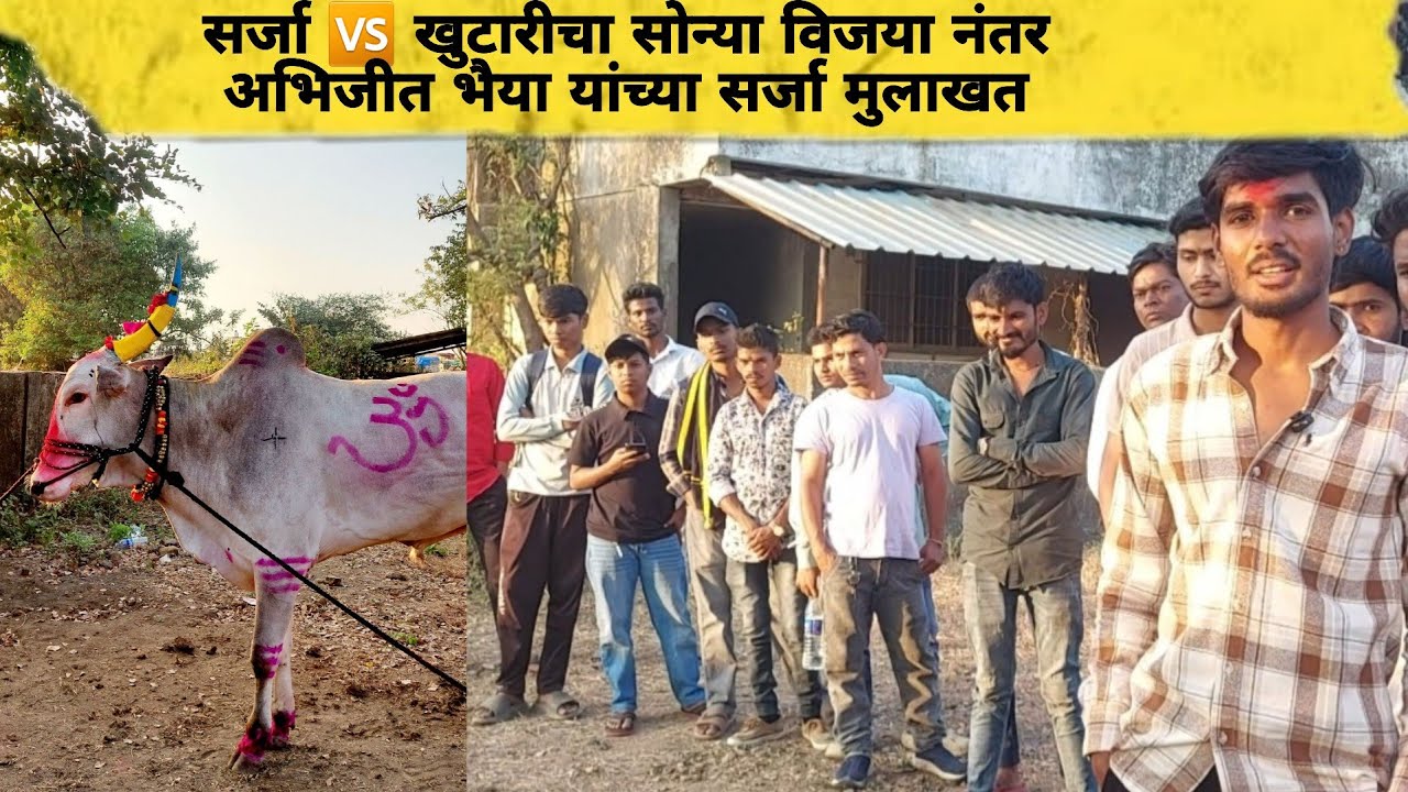 सर्जा 🆚️ खुटारीचा सोन्या विजया नंतर अभिजीत भैया यांच्या सर्जा मुलाखत 