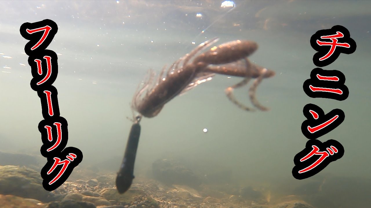 【チニング】フリーリグのアクションはコレでヨシッ