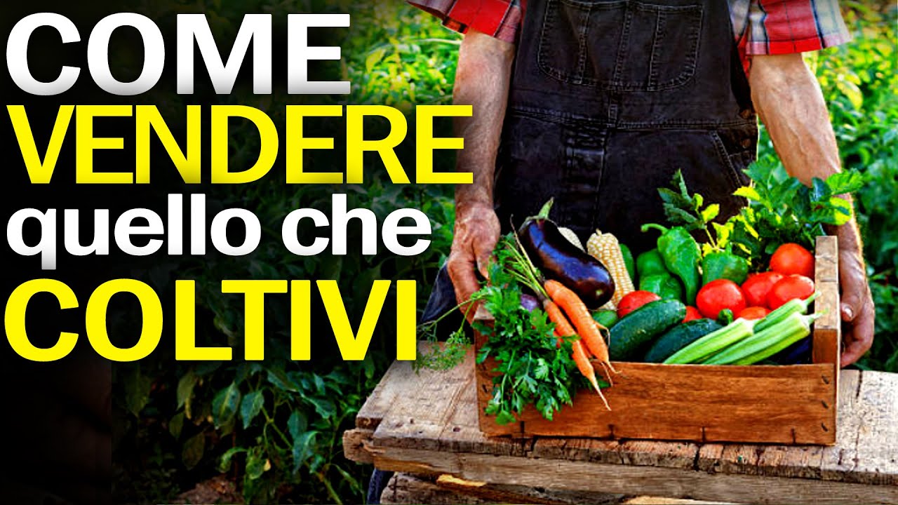VENDI la VERDURA del tuo ORTO | Come aprire una VENDITA DIRETTA in campo | PRODOTTI KM0
