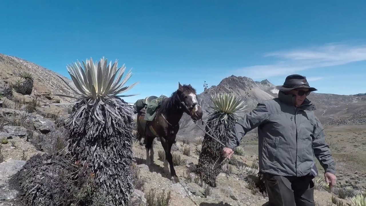 THE VENEZUELA JUNGLE TO ANDES RIDING EXPEDITION