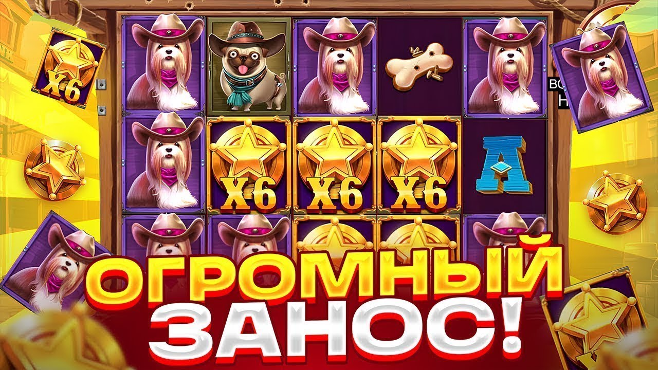 ПОДНЯЛИСЬ С 3.000р до ЦЕЛОГО СОСТОЯНИЯ в DOG HOUSE / дог хаус показал ЗАНОС НЕДЕЛИ