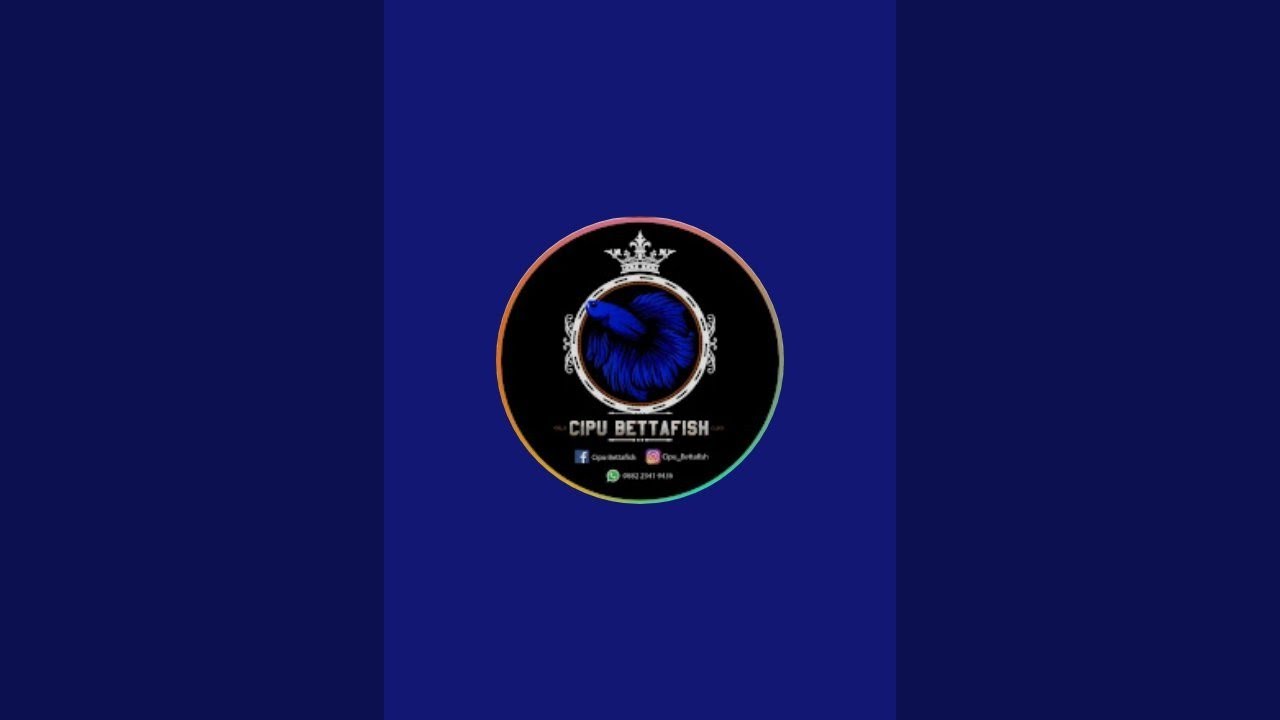 GUPPY FULL GOLD PROMO EDISI RAMADHAN!