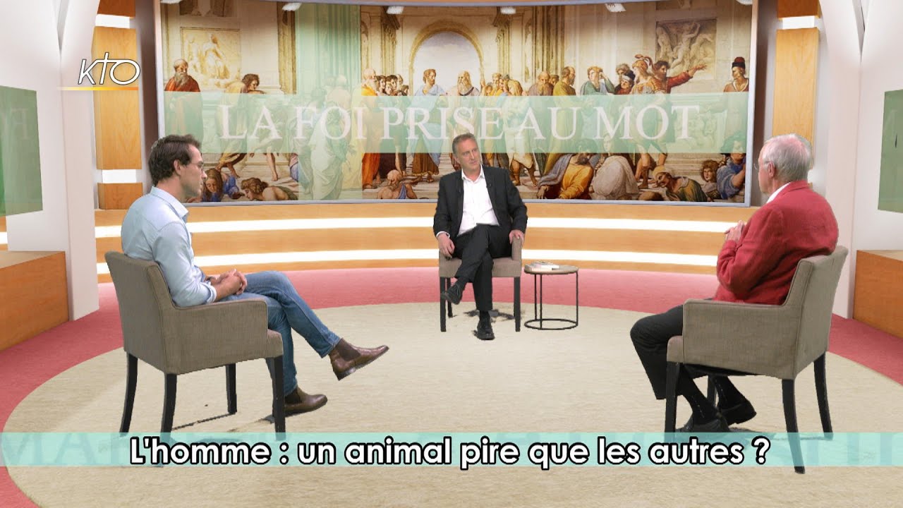 L'Homme: un animal pire que les autres?