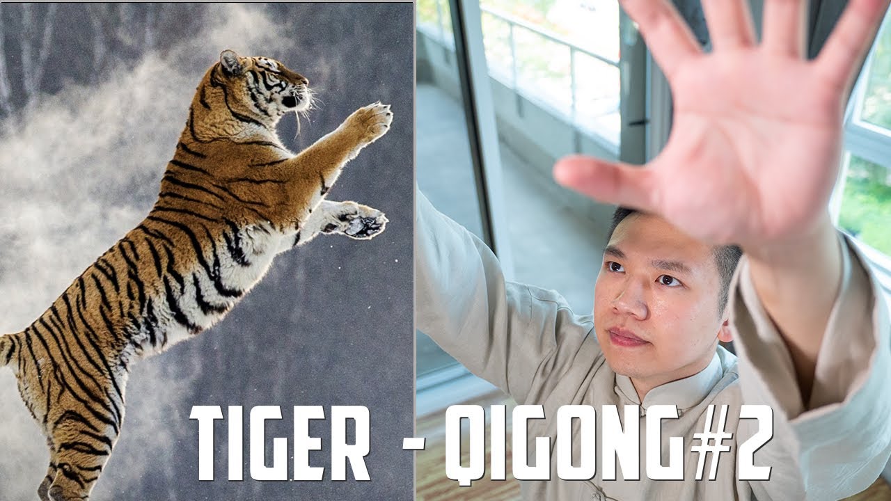 Five Animals Qi Gong - Tiger Form #2