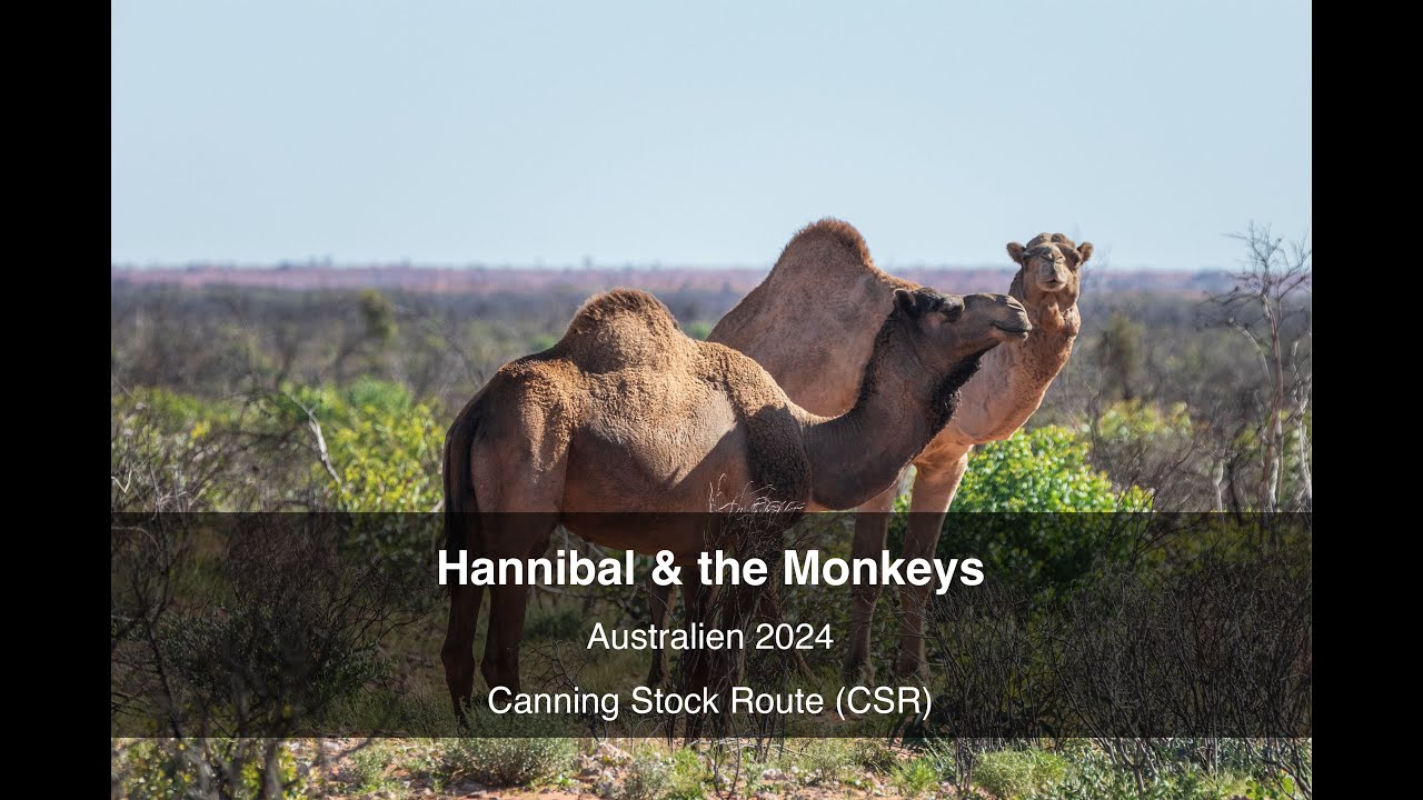 Hannibal & the Monkeys, Offroad Australien 2024: Canning Stock Route
