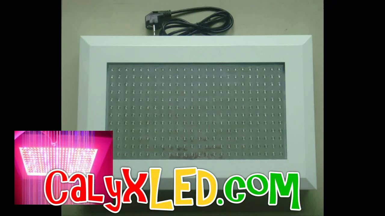 Calyx LED - Best LED Grow Light