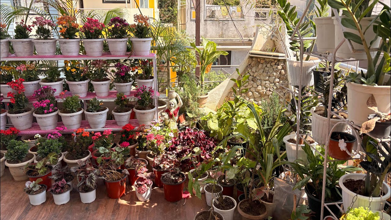 March Sunday Terrace Garden overview🥰