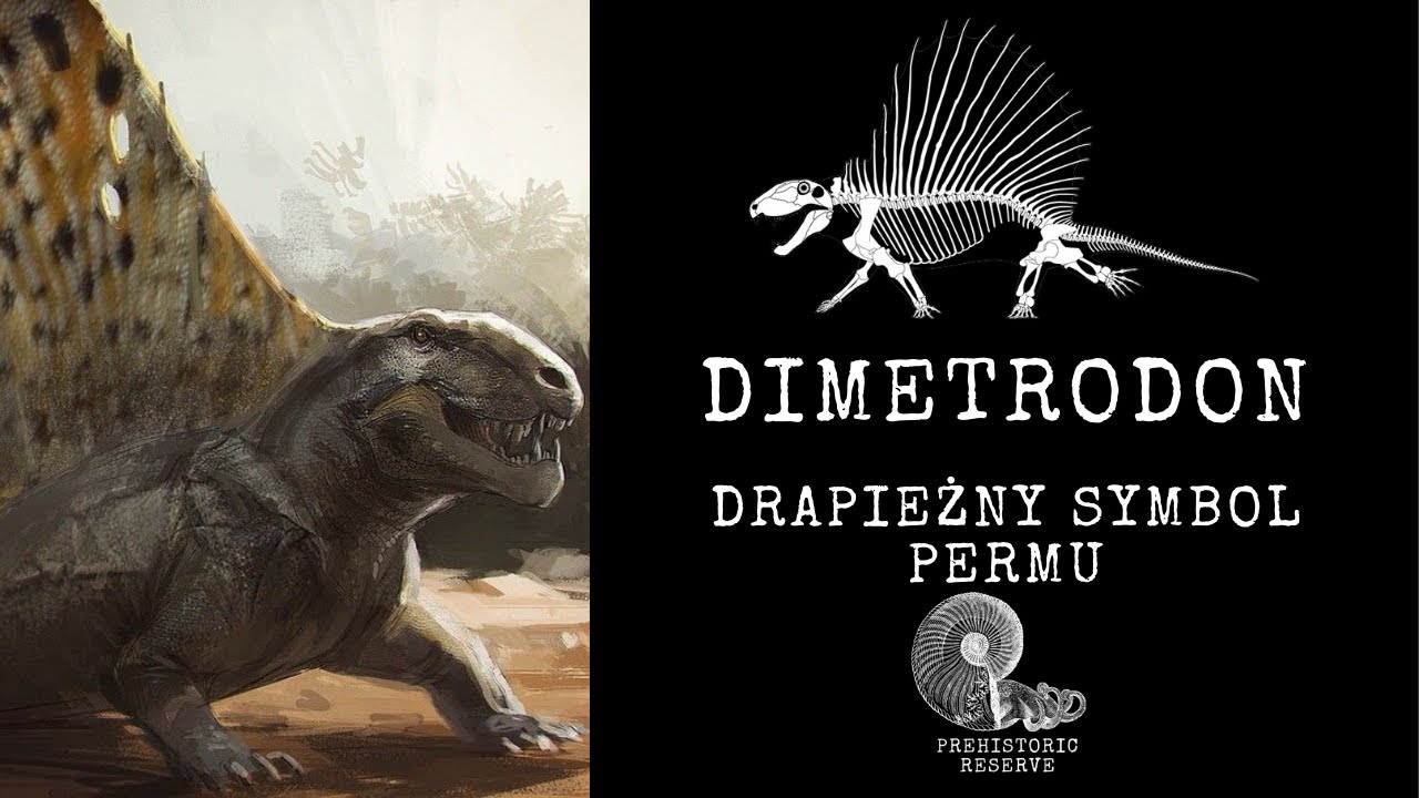 Dimetrodon - Drapieżny symbol permu