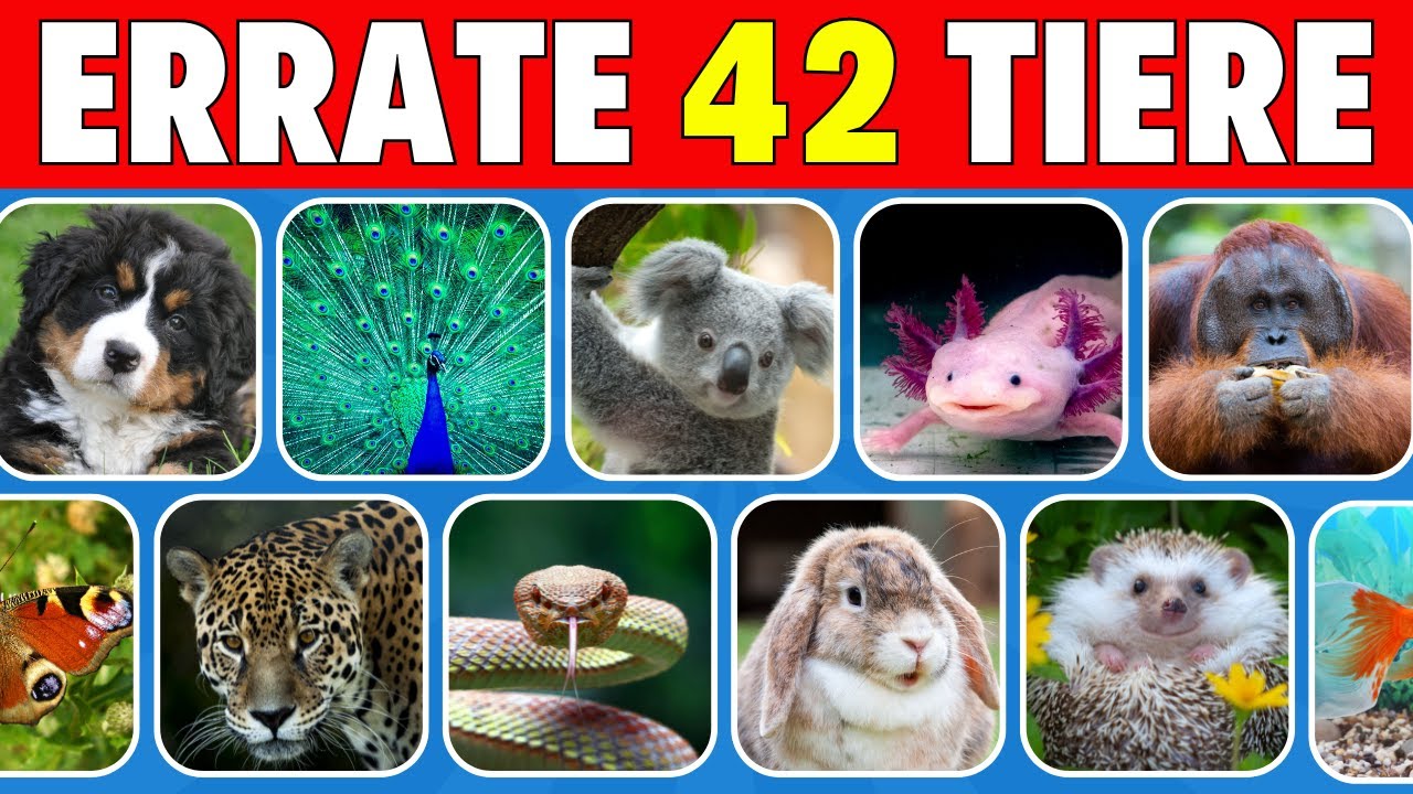 Errate 42 Tiere in je 3 Sekunden | 🐶🐱 Einfach, Mittel, Schwer 🧠🤯