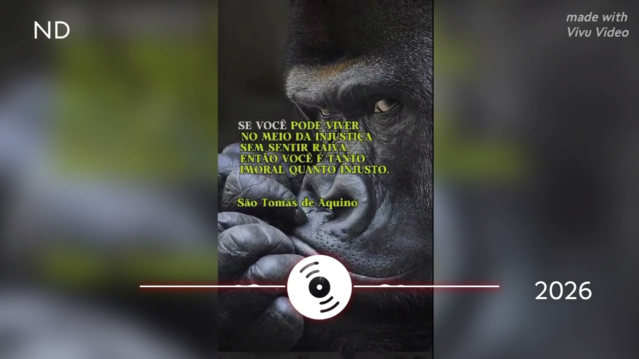 Sobrevivendo a injustiça 