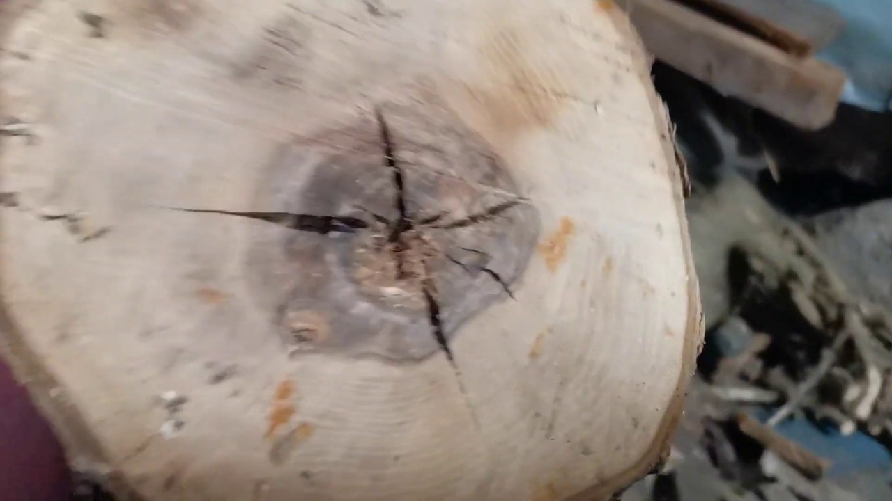 Lumber Jack SWL 350 - Wood turning