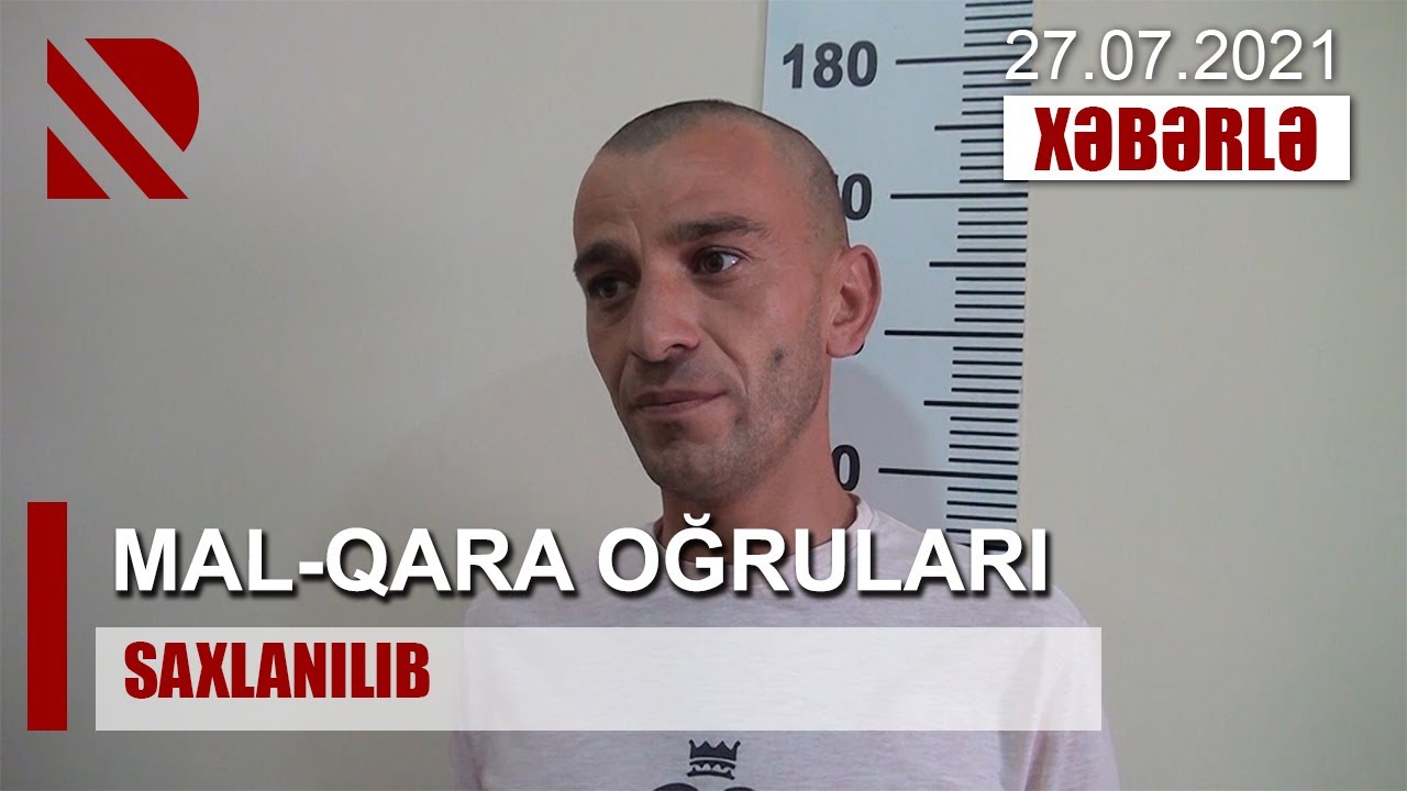 TƏRTƏRDƏ MAL-QARA OĞRULARI SAXLANILIB