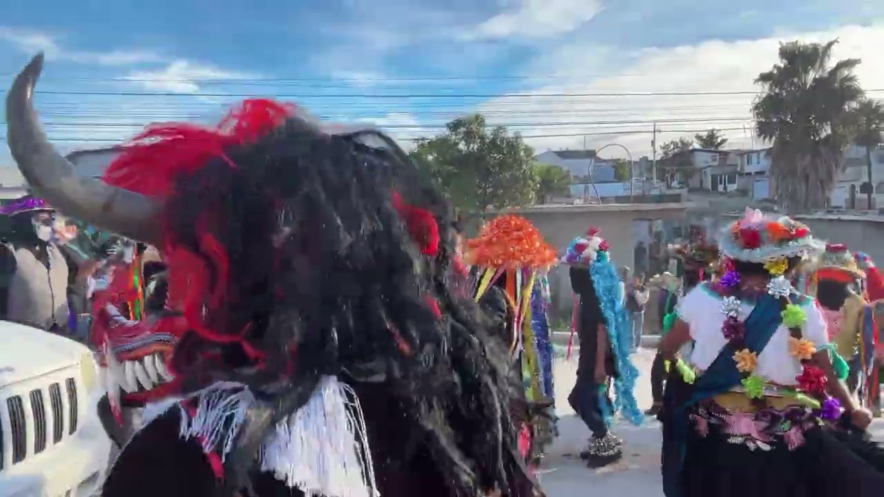 Danza de los viejitos rosarito 2026 (d.mela)
