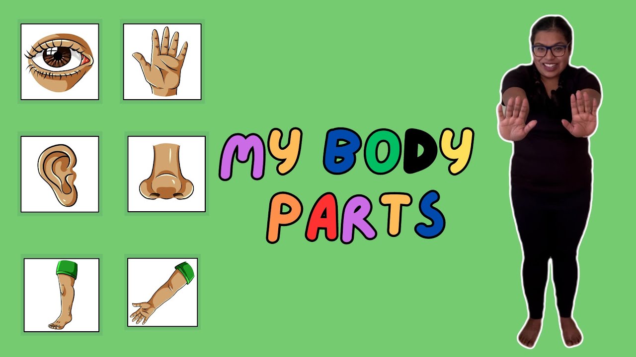 Body Parts in Nepali | Baby Learning