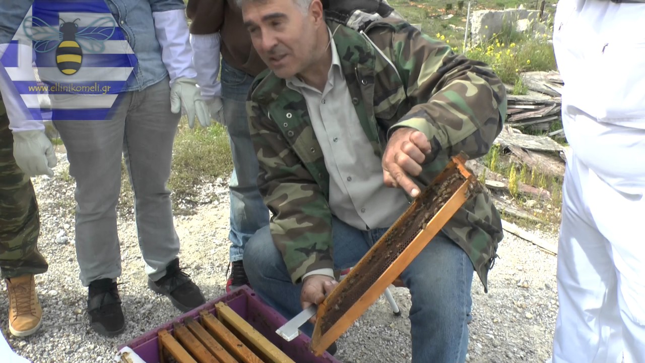 Αρχές άνοιξης - ανάπτυξη μελισσιών