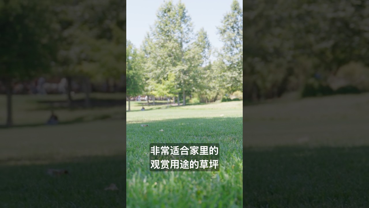 &ldquo;冷季草哪种草最适合你家？&rdquo;#草坪维护 #lawn #lawncare