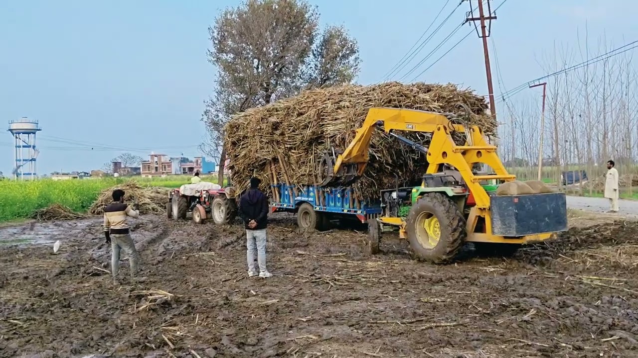 Jay Jawan Jay Kisan#Mahindra# 595 turbo ganne ka trola +555+555🙏🙏❤️❤️🙏🙏