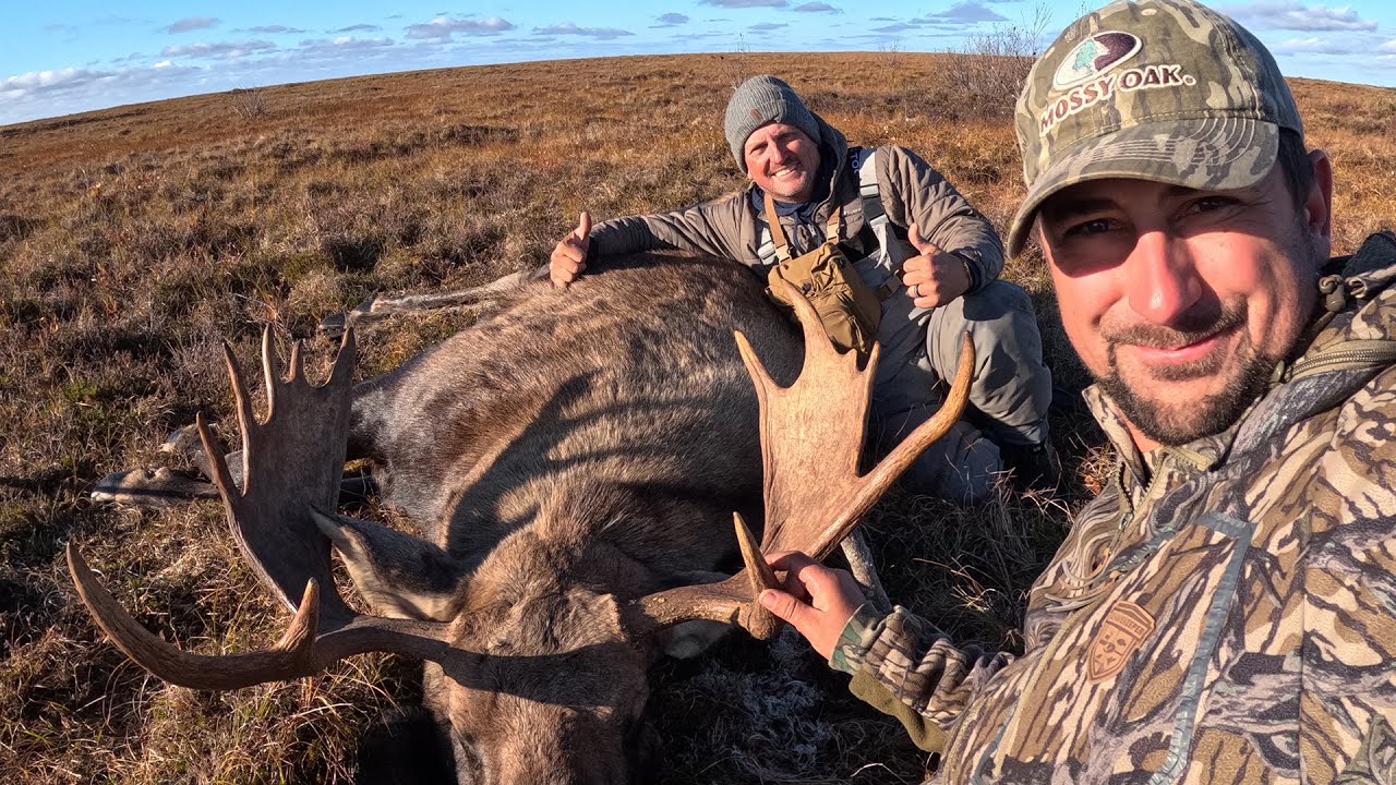 DIY!!! 2 Alaskan Bull Moose in 1 day!!! {Catch Clean Cook} Camp Food Over Open Fire