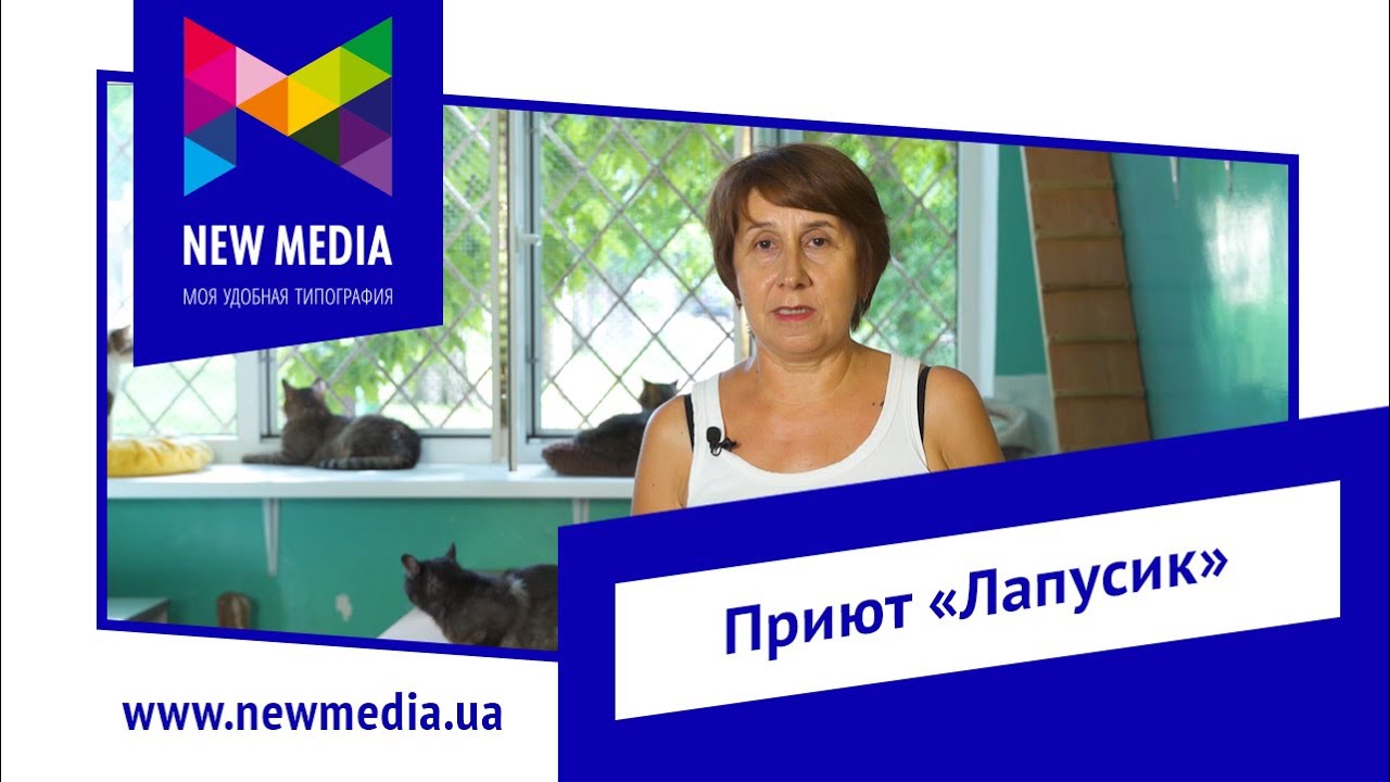 Отзыв о работе типографии New Media в Одессе | Приют Лапусик