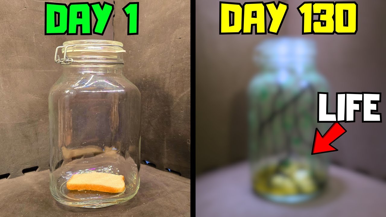 I Put Bread In a Jar...It Came Alive