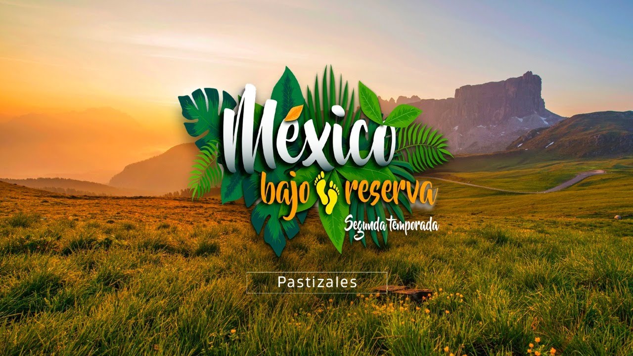 M&eacute;xico bajo reserva | Pastizales