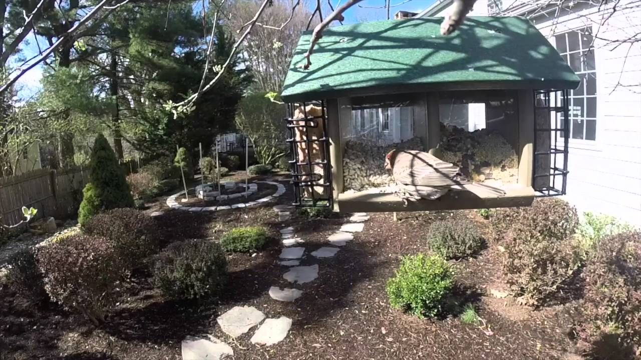 Birds of New Jersey