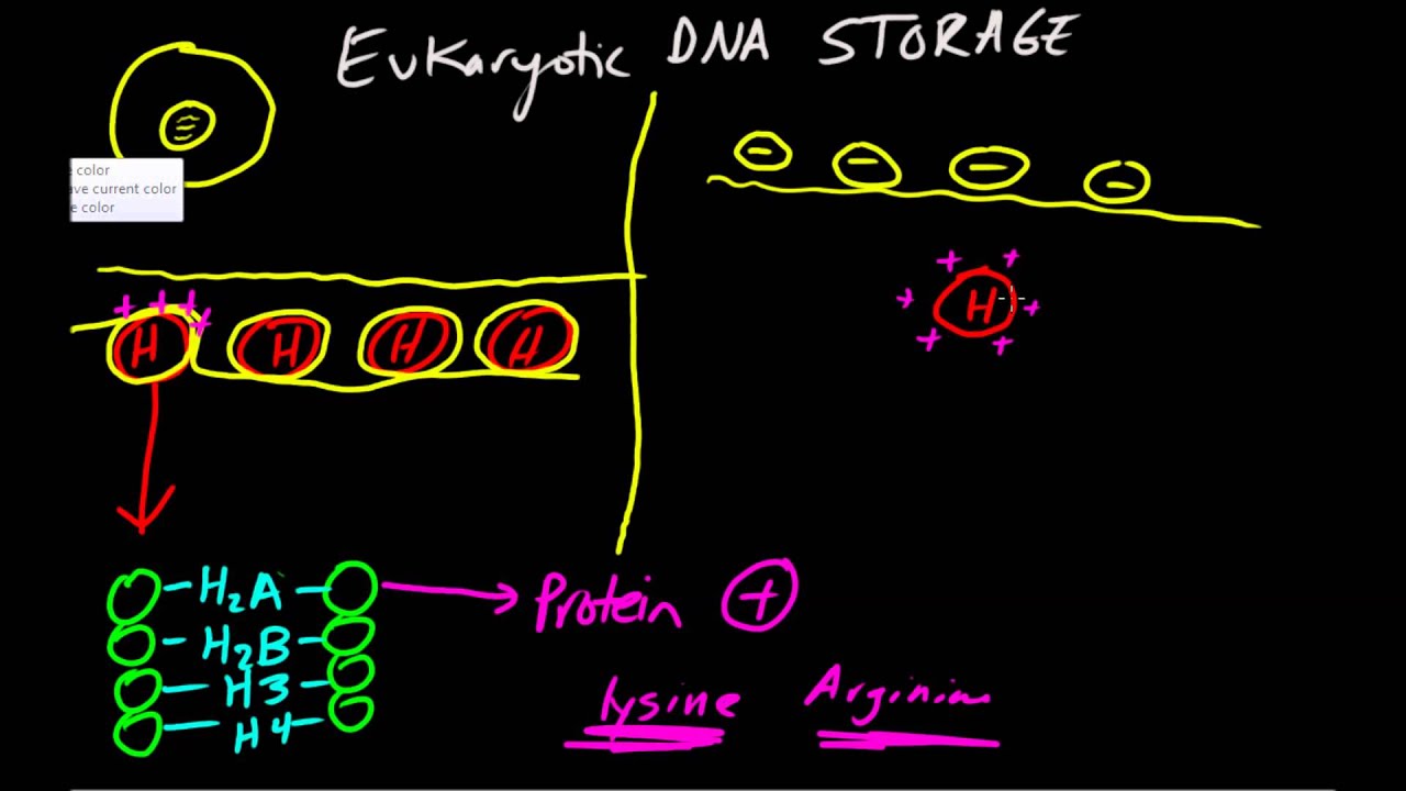 DNA Storage Basics