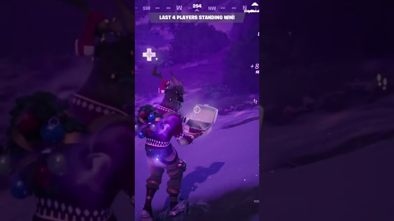 Daily Fortnite Win (Day 188)