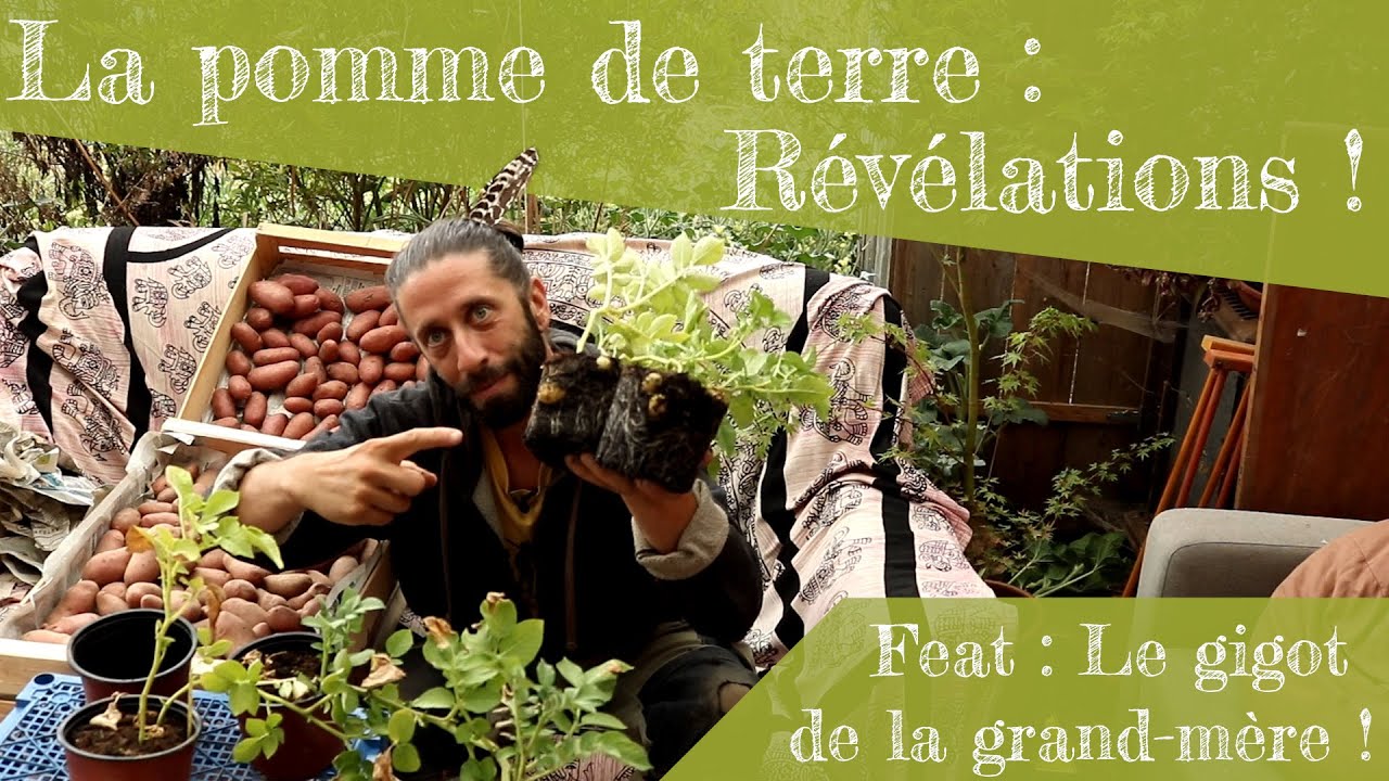 Pomme de terre : Croyances limitantes, méthodes scientifiques... et gigot de la grand-mère !