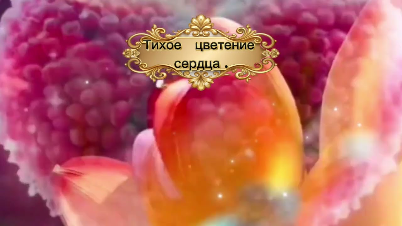 21 января 2026 г.