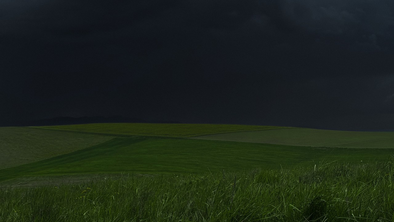 Under the Mountain Thunderstorm | Endless Meadows | Heavy Wind & Distant Thunder