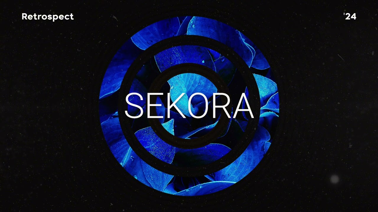 Sekora in Retrospect 2024 - Yearmix