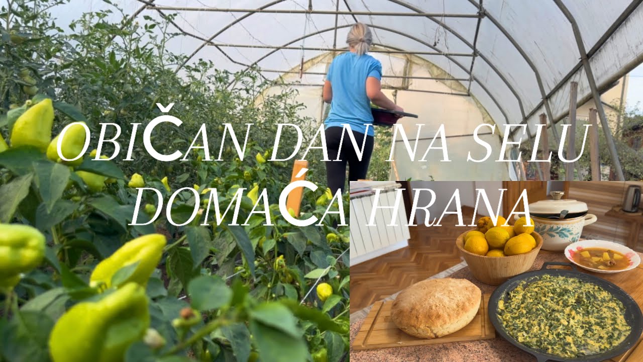 OBIČAN DAN NA SELU/PRIPREMA DOMAĆINSKE VEČERE/Gnojivo od žare/BERBA/Briga o cvijeću /Svakodnevnica