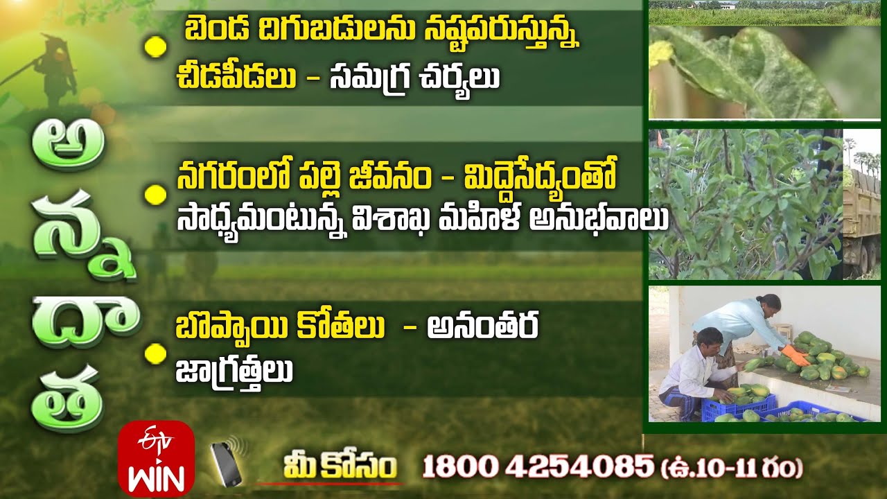 26th September 2025 | Annadata | అన్నదాత | Full Episode | ETV Telugu