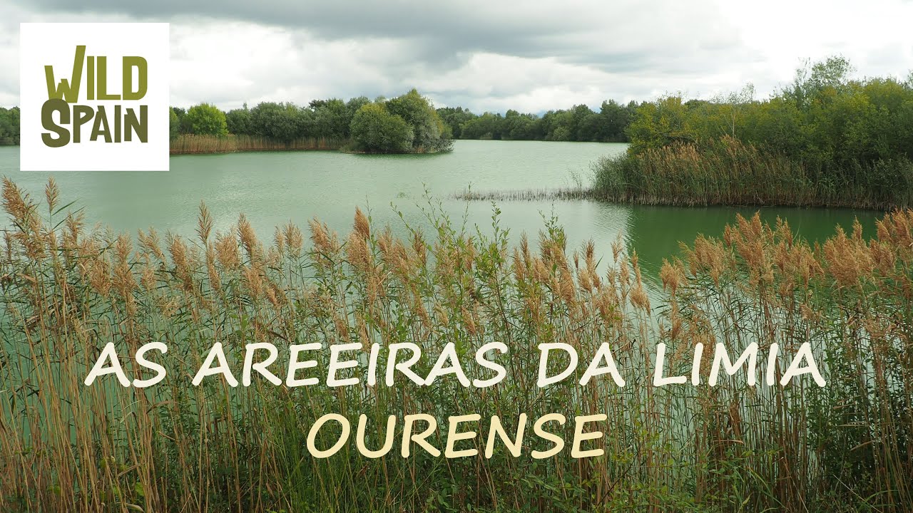Wild Spain - Capítulo 101 - As Areeiras da Limia, Ourense (antigua Laguna de Antela).