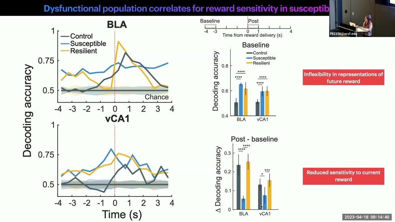 Decoding Stress Susceptibility From Activity in Amygdala-Ventral Hippocampal Networks