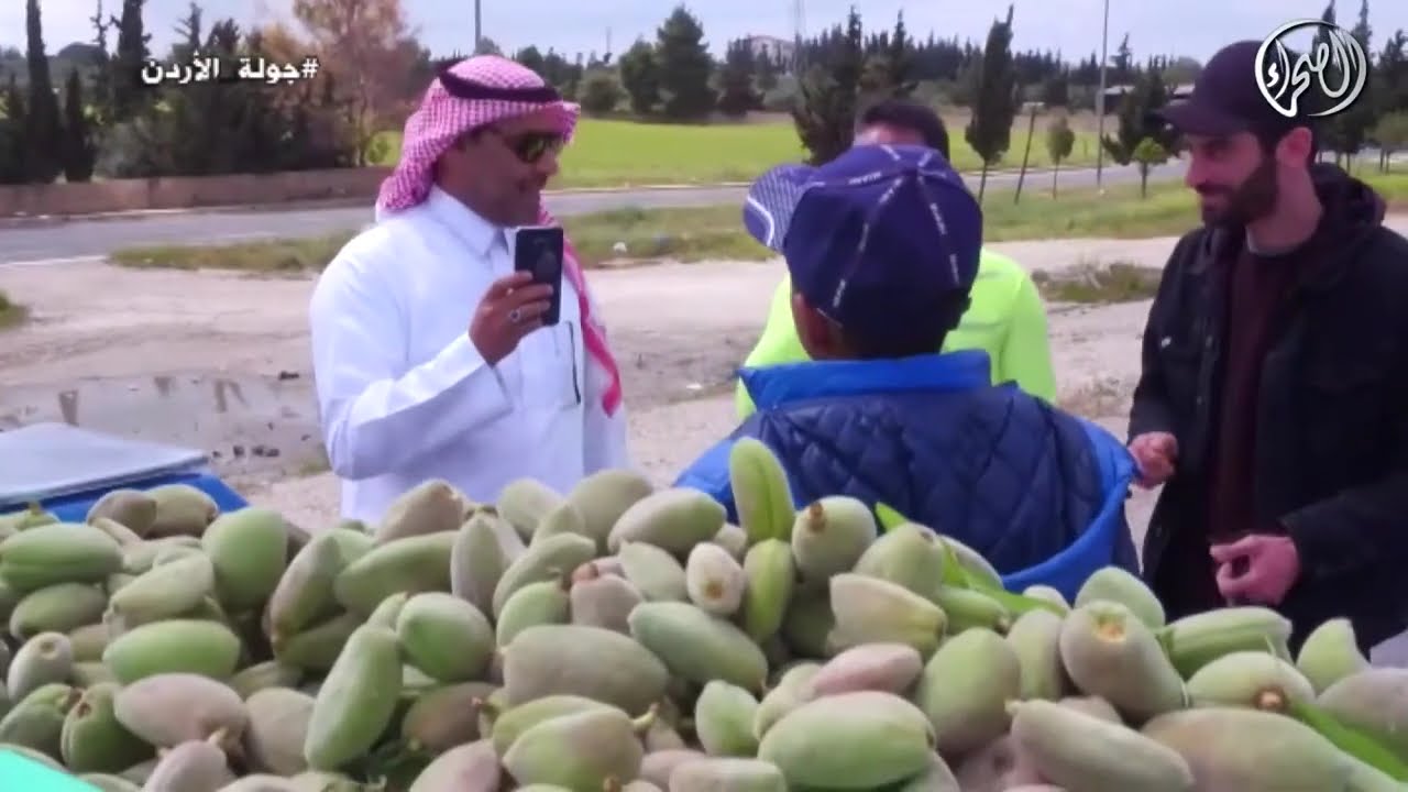 جولة الصحراء في المملكة الاردنية الهاشمية - بلدة الموقر