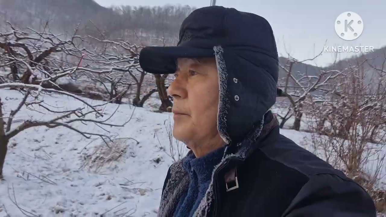 자두농장에서 설경 일출 보다