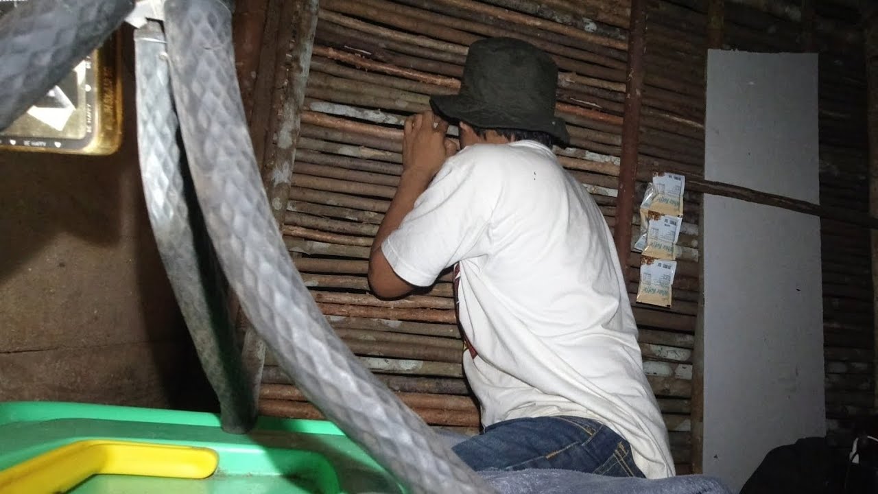 WIRTA KUNIL KUNIL MENGALAMI KEJADIAN ANEH TIDUR DI SHELTER DAPUR ALAM