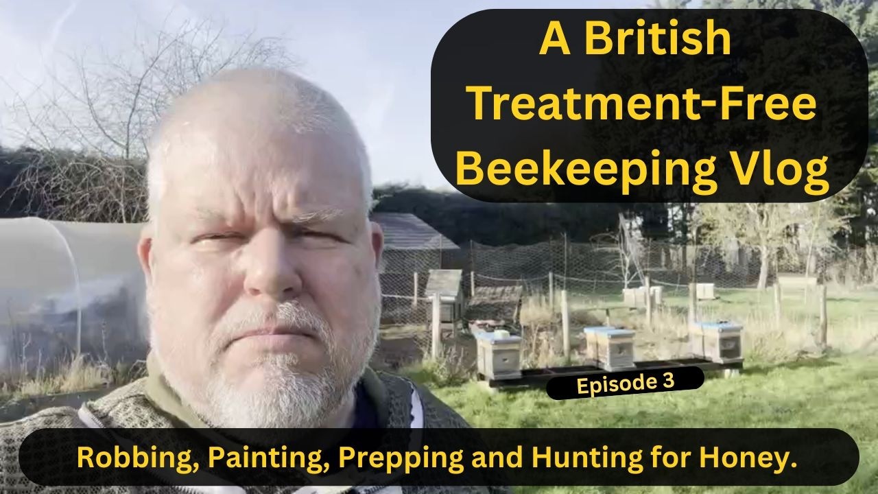 Four years of free bees. Second year of no treatment. Ep3 A British treatment-free beekeeping vlog.