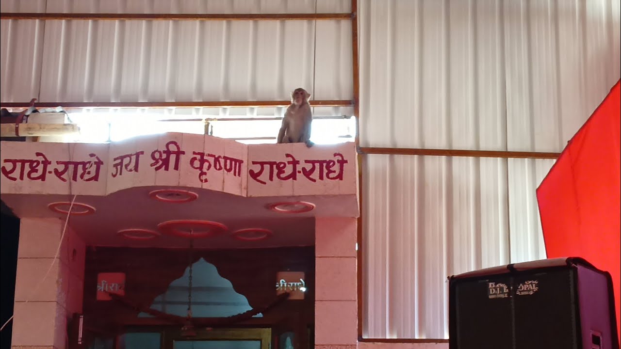 आज खेत से क्या लेकरआए 🙏🙏🙏💁💁👌👌🍲🍲